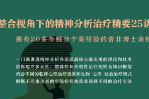 訾非：整合视角下的精神分析治疗精要25讲