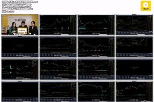 翟鹏飞：把交易当作事业来做（价值39元