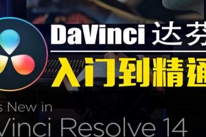 神鹰达芬奇入门到精通课程价值299