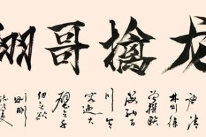 【翔哥擒龙】逻辑为王训练营