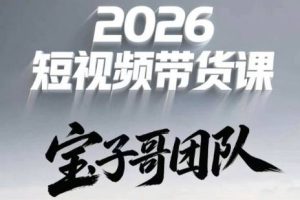 宝子哥头部团队短视频带货（更新9月）