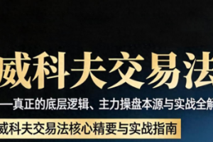 【孟洪涛】孟洪涛威科夫交易法电子文档合集