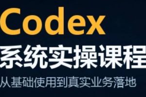 codex系统实操课程（更新10月）