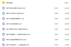 狱风阿零美型角色设计创作班2026【画质还可以有课件笔刷】