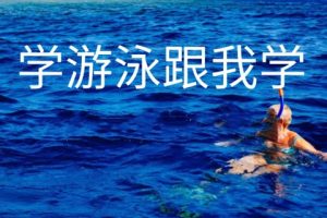 学游泳跟我学视频教程大全