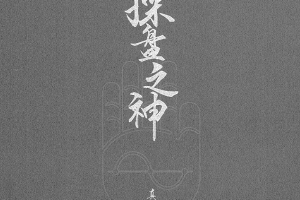 真如铁真庸：赢家战法职业做盘手册操盘之神 汇总合集