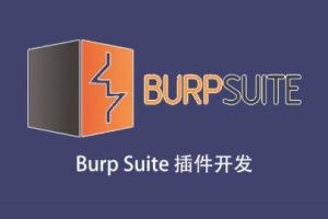 Burp插件开发 视频教程价值299元