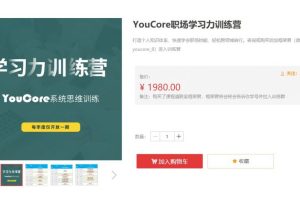 YouCore职场学习力训练营，快速学会职场技能 价值1980元