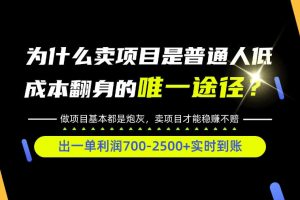 普通人如何靠互联网賺取自己的第一桶金！全类目实操型教学，看完你全都…