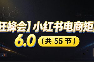 【狂蜂会】小红书电商矩阵6.0，从零教你店铺搭建、多渠道精细化选品、…
