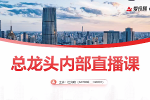 【总龙头战法】杜光晓2025年圈内教学