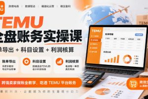 TEMU全盘账务实操14节,账单导出与利润核算