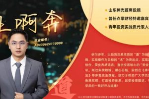 王啊奔犇牛战法系统课，股市高手密训营 视频+指标