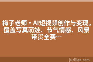 梅子老师·AI短视频创作与变现，覆盖写真萌娃、节气情感、风景带货全赛…