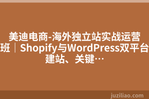 美迪电商-海外独立站实战运营班｜Shopify与WordPress双平台建站、关键…
