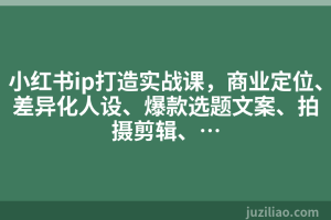 小红书ip打造实战课，商业定位、差异化人设、爆款选题文案、拍摄剪辑、…