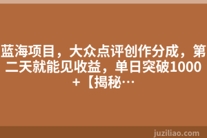 蓝海项目，大众点评创作分成，第二天就能见收益，单日突破1000+【揭秘…