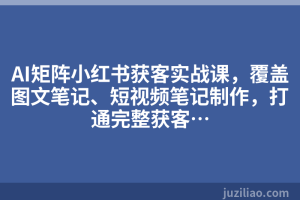 AI矩阵小红书获客实战课，覆盖图文笔记、短视频笔记制作，打通完整获客…