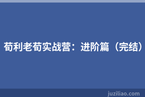 荀利老荀实战营：进阶篇（完结）