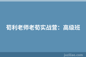 荀利老师老荀实战营：高级班