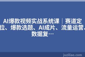 AI爆款视频实战系统课｜赛道定位、爆款选题、AI成片、流量运营、数据复…