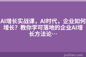 AI增长实战课，AI时代，企业如何增长？教你学可落地的企业AI增长方法论…