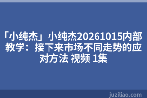 「小纯杰」小纯杰20261015内部教学：接下来市场不同走势的应对方法 视频 1集