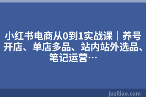 小红书电商从0到1实战课｜养号开店、单店多品、站内站外选品、笔记运营…