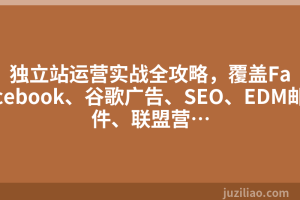 独立站运营实战全攻略，覆盖Facebook、谷歌广告、SEO、EDM邮件、联盟营…