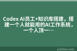 Codex AI员工+知识库搭建，搭建一个人就能用的AI工作系统，一个人顶一…