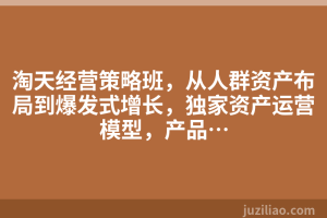 淘天经营策略班，从人群资产布局到爆发式增长，独家资产运营模型，产品…
