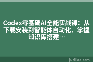 Codex零基础AI全能实战课：从下载安装到智能体自动化，掌握知识库搭建…