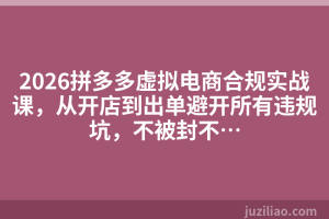 2026拼多多虚拟电商合规实战课，从开店到出单避开所有违规坑，不被封不…