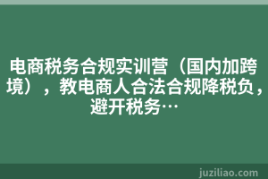 电商税务合规实训营（国内加跨境），教电商人合法合规降税负，避开税务…
