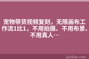 宠物带货视频复刻，无限画布工作流1比1，不用拍摄、不用布景、不用真人…