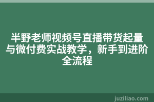 半野老师视频号直播带货起量与微付费实战教学，新手到进阶全流程
