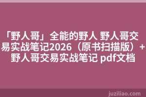 「野人哥」全能的野人 野人哥交易实战笔记2026（原书扫描版）+野人哥交易实战笔记 pdf文档