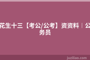 花生十三【考公/公考】资资料︱公务员