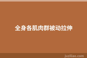 全身各肌肉群被动拉伸